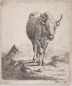 Une vache, vue de face, 1805 - Adam von Bartsch