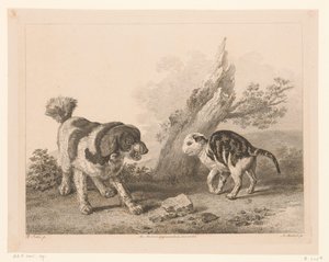 Chien et chat en position de combat - Adam von Bartsch