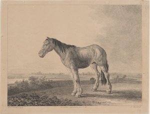 Cheval debout sur un champ en profil à gauche - Adam von Bartsch