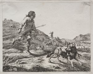 Berger chassant un loup