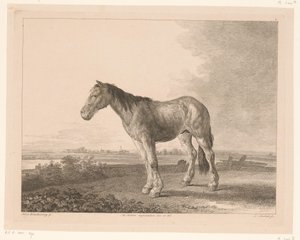 Cheval debout dans un paysage fluvial - Adam von Bartsch