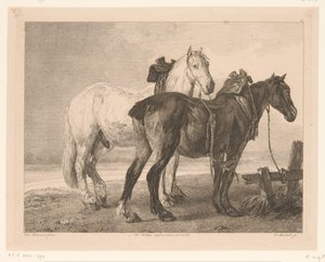 Deux chevaux dans un paysage fluvial (Dieren naar schilderijen van Hollandse meesters) - Adam von Bartsch