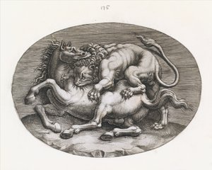 Speculum Romanae Magnificentiae : Lion attaquant un cheval, vers 1540-80 - Adamo Scultori