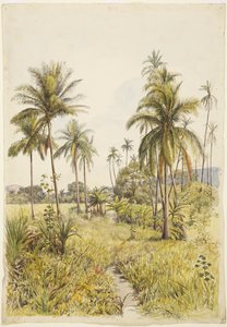 Palmiers, Colima - Adela Breton