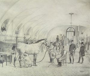 Les Écuries royales : toilettage du matin - Adele Walter