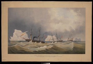 H.M.S. Phoenix avec ses consorts, The Diligence et Breadalbane, parmi les icebergs - Admiral Edward Augustus Inglefield
