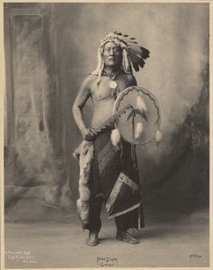 [Grand Ours, de l