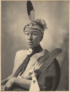 Mosteose (lapin saint), Iowa