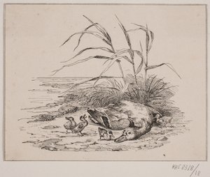 Le canard tué - Johan Adolph Kittendorff