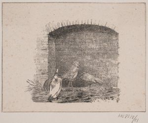 Les poules et les canards
