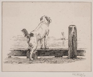 Le chien sur la plage