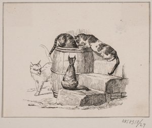 Les chats - Johan Adolph Kittendorff