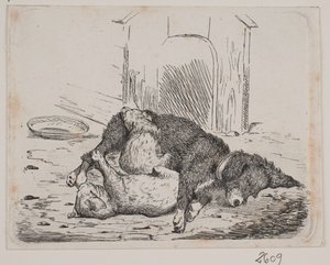 Chien enchaîné avec chiot