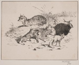 Le renard - Johan Adolph Kittendorff
