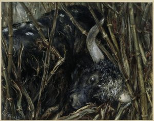 Le taureau yak dans le bambou. Extrait de l