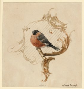 Un bouvreuil sur un perchoir devant une rocaille - Adolph Menzel