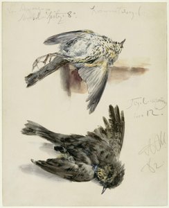  - Adolph Menzel