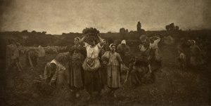 Appel aux glaneurs - Adolphe Braun