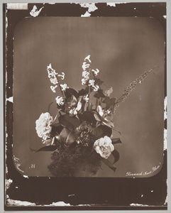 Sans titre (arrangement floral)
