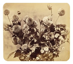 Sans titre, c. 1860