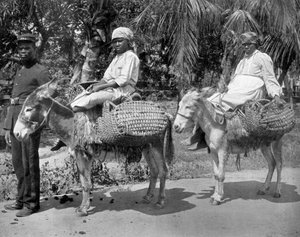 En route vers la prison, Jamaïque, vers 1905 - Adolphe Duperly and Son