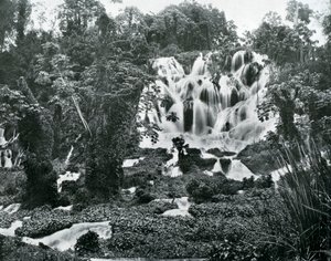 Chutes de la rivière Roaring, Jamaïque, vers 1905 - Adolphe Duperly and Son