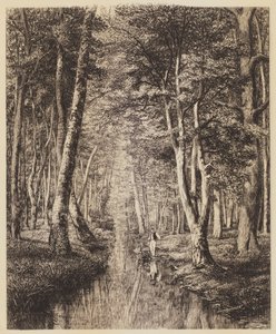 Rivière sous bois - Adolphe Martial Potemont