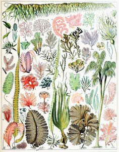 Illustration d