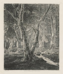 Bois de Pierrefonds - Adolphe Théodore Jules Martial Potémont