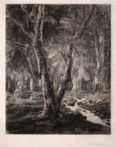 Forêt de Pierrefonds - Adolphe Théodore Jules Martial Potémont