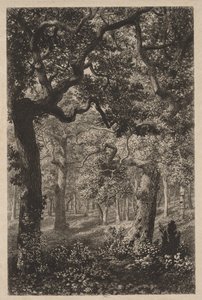 Dans les bois - Adolphe Théodore Jules Martial Potémont