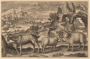 Une chèvre, une brebis et un bélier - Adriaen Collaert