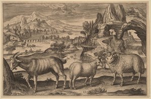  - Adriaen Collaert