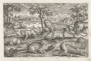Singes et chats - Adriaen Collaert