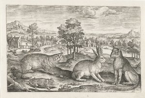Animaux de la forêt