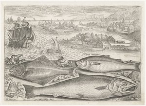 Trois poissons sur la plage