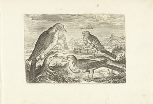 Trois oiseaux dans un paysage