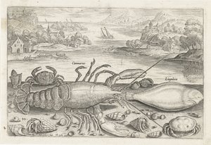 Un poisson et quelques crustacés sur la plage - Adriaen Collaert