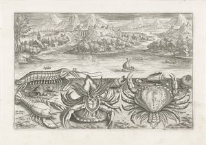 Quelques crustacés sur la plage - Adriaen Collaert