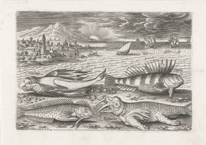 Quelques poissons et un morse sur la plage (Piscivm vivae icones)