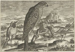 Quelques oiseaux dans un paysage - Adriaen Collaert