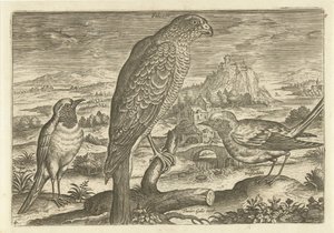 Quelques oiseaux dans un paysage - Adriaen Collaert