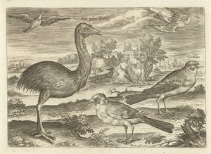 Quelques oiseaux dans un paysage - Adriaen Collaert