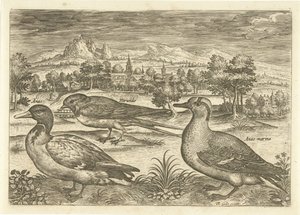Quelques oiseaux dans un paysage (Avivm vivae) - Adriaen Collaert
