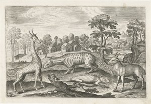 Animaux exotiques. Animalivm Qvaddrvpedvm - Adriaen Collaert