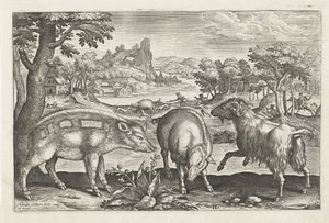 Chèvre et cochons (Animalivm Qvaddrvpedvm) - Adriaen Collaert