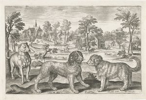 Chiens - Adriaen Collaert