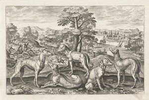 Chiens de chasse - Adriaen Collaert