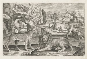 Lions et léopard - Adriaen Collaert