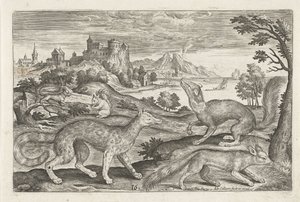 Martres, écureuils et un renard (Vierpotige dieren, Animalivm Qvaddrvpedvm)